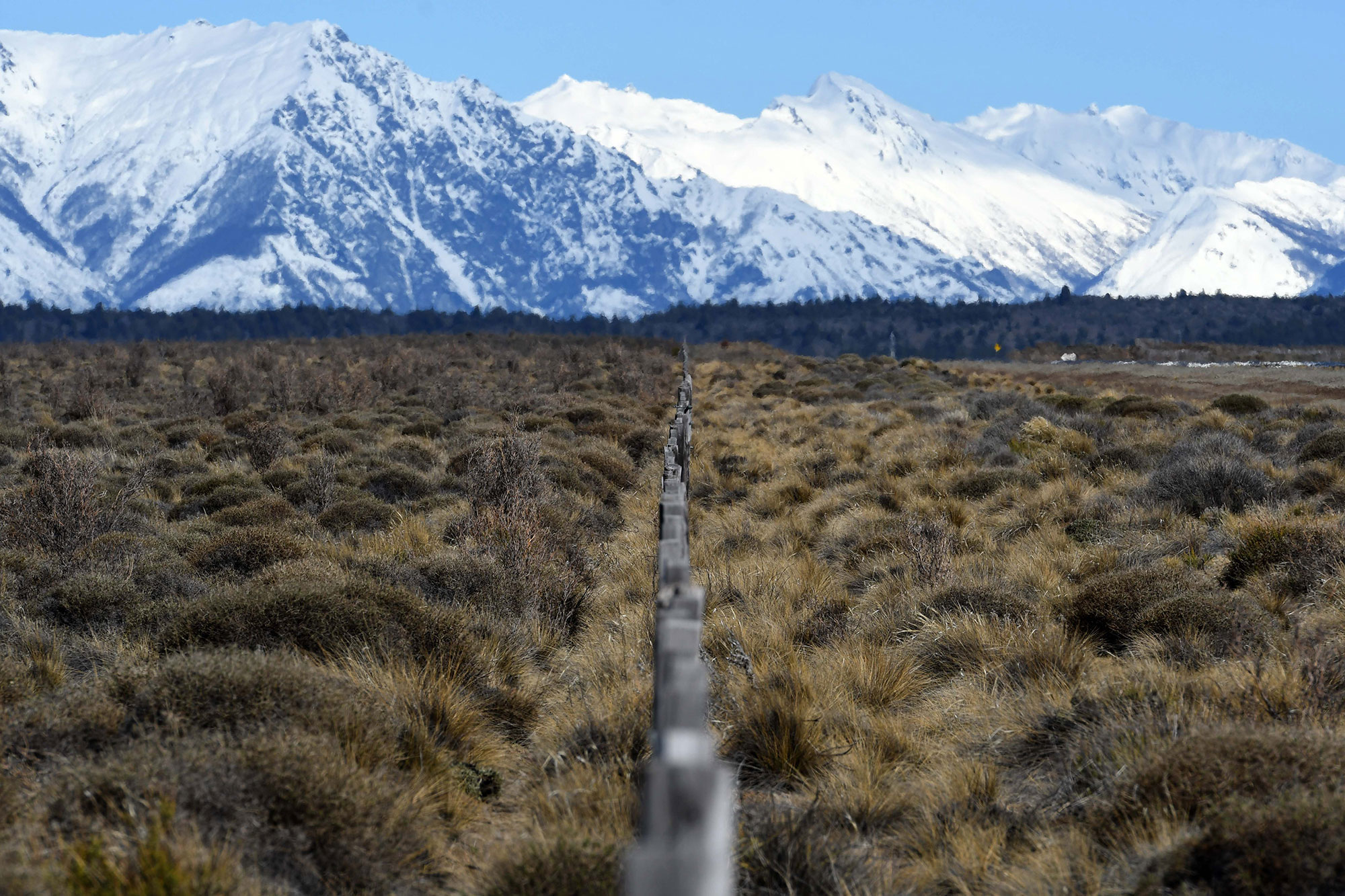 Cushamen (Chubut): qué porcentaje de tierras está en manos de